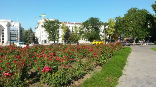 Apartamento Rosa In The City Center