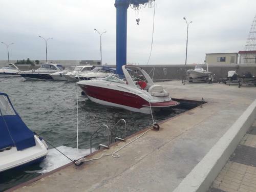 Beach Apartment Zebra