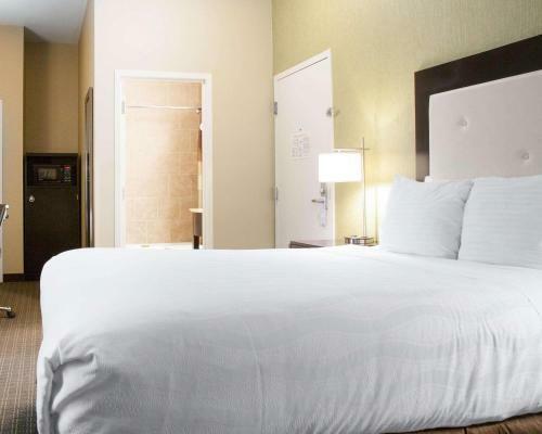 Envision Hotel Boston, An Ascend Hotel Collection Member