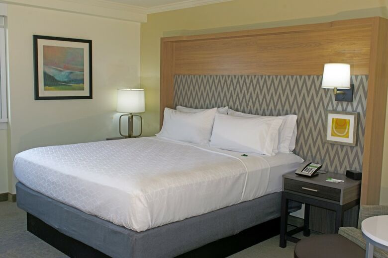 Hotel Holiday Inn Binghamton-dwtn (Hawley St)