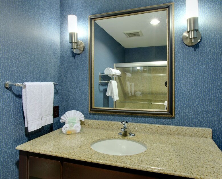 Hotel Holiday Inn Houston East-channelview