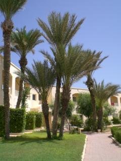 Zephir Hotel & Spa