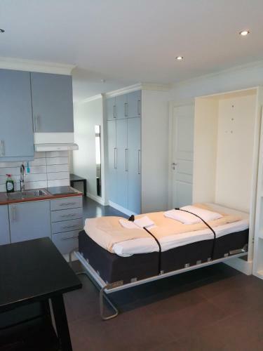 Esplanad Apartment