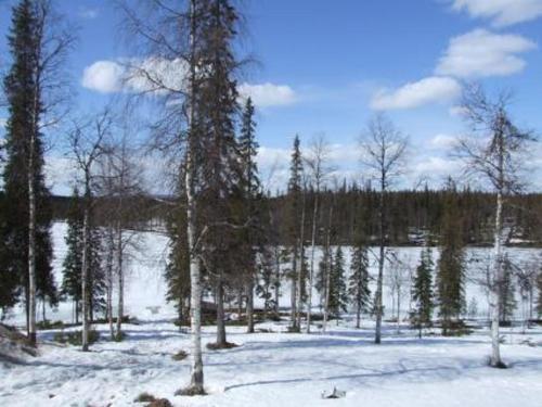 Holiday Home Mestarik�mp�t B10