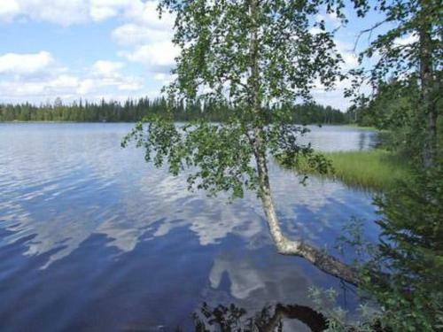 Holiday Home Seitsem�n Savua 3