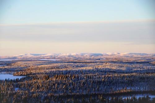 Hotel Arctic Zone
