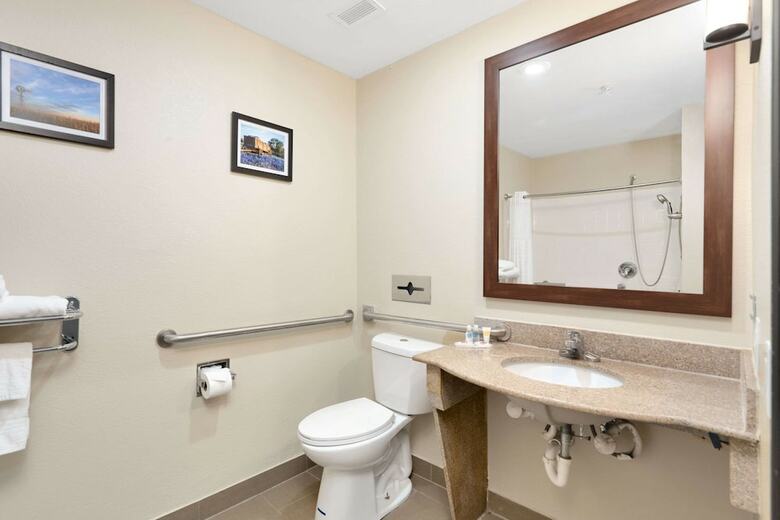 Hotel Comfort Suites University