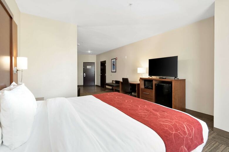Hotel Comfort Suites University