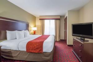 Hotel Comfort Suites