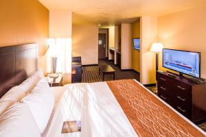 Hotel Comfort Inn