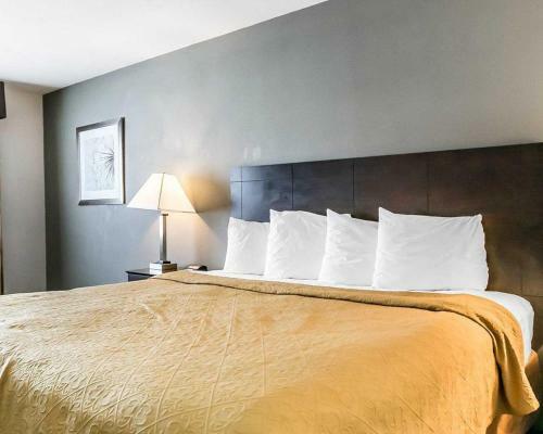 Hotel Quality Inn & Suites University/airport