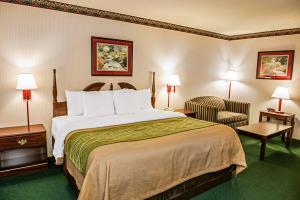 Hotel Comfort Inn