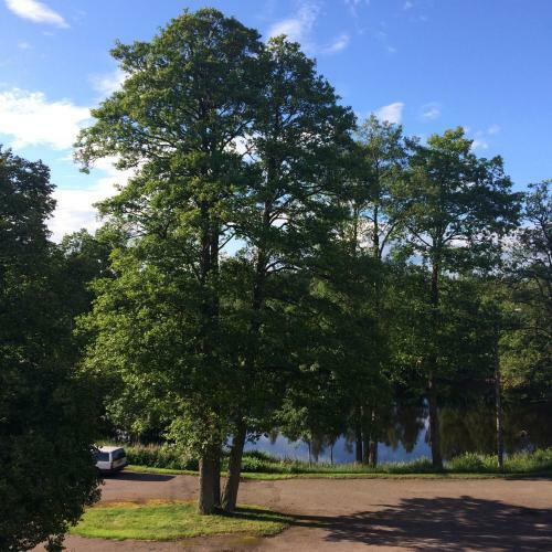 Yaberg Aff�ren Bed & Breakfast