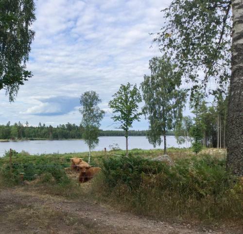 Yaberg Aff�ren Bed & Breakfast