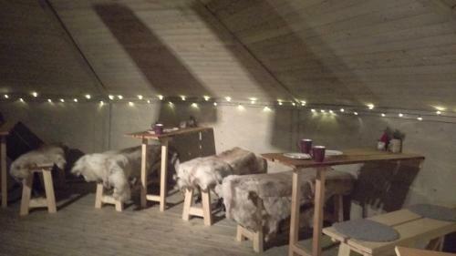 Lodge Jvt Cabins