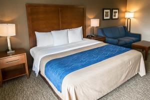 Hotel Comfort Inn