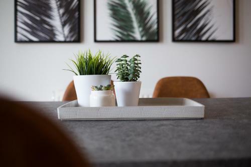 Apartamento Stylish And Spacious 2bd - Thiseio By Upstreet