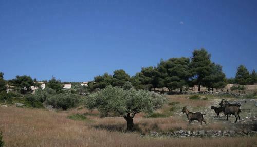 Villa Aresti Mountain Resort