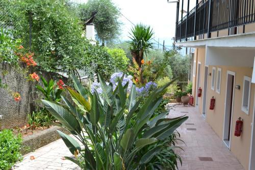 Apartamento Iliana Studios