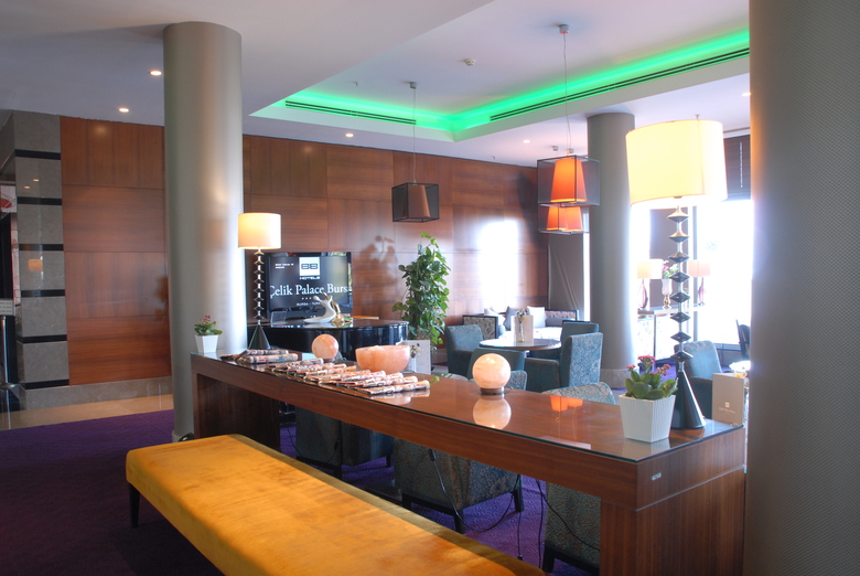 Hotel Celik Palas