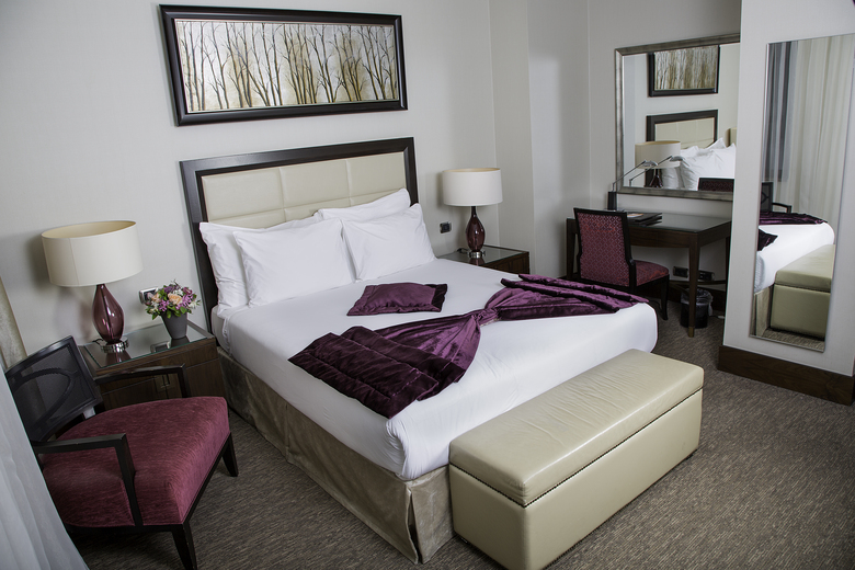 Hotel Celik Palas