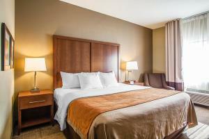 Hotel Comfort Inn