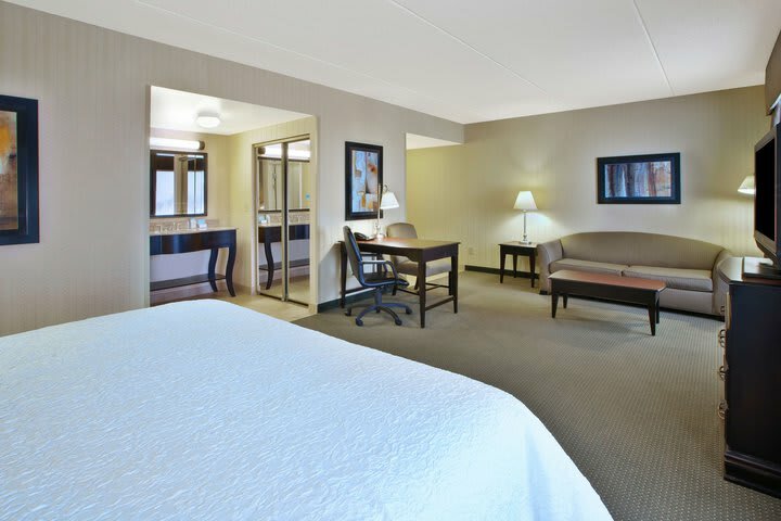Hotel Hampton Inn & Suites Plattsburgh