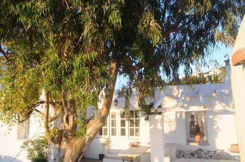 Agroturismo Paros Pounta Sea View Villa
