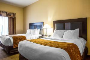 Hotel Comfort Suites