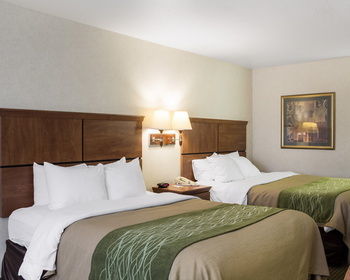 Hotel Comfort Inn