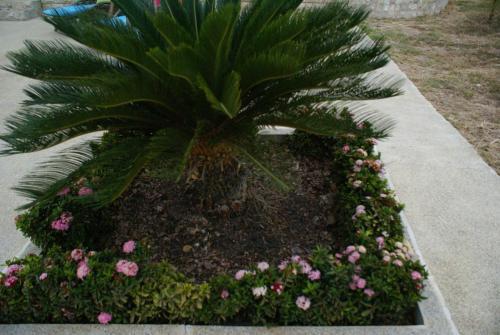 Posada Hosteria Paradiso Spa