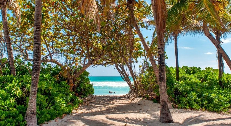 Hotel Design Suites Miami Beach