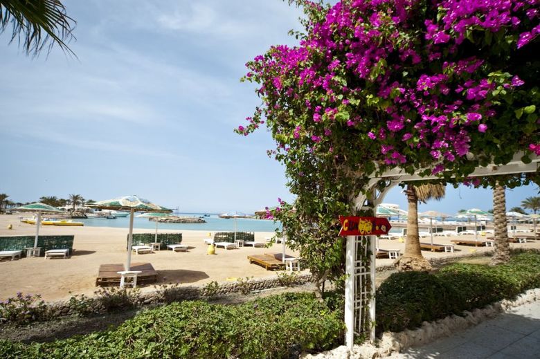 Hotel Festival Shedwan Golden Beach