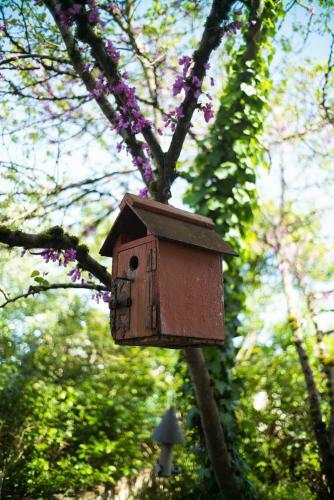 Bed & Breakfast Absolut Oiseaux