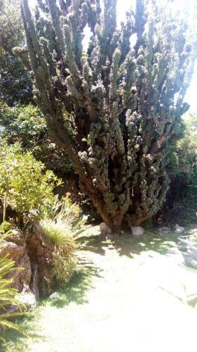 La Gardenia Bed & Breakfast
