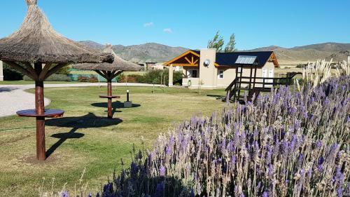 Los Llantenes