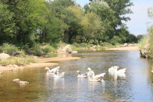 Caba�as Rancho La �ata