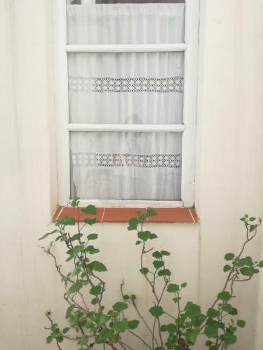 Apartamento El Jacaranda