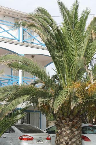 Apartamento Lejos De Pindal