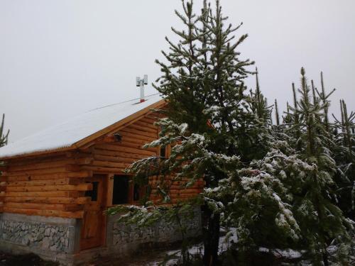Lodge Upenen Caba�as
