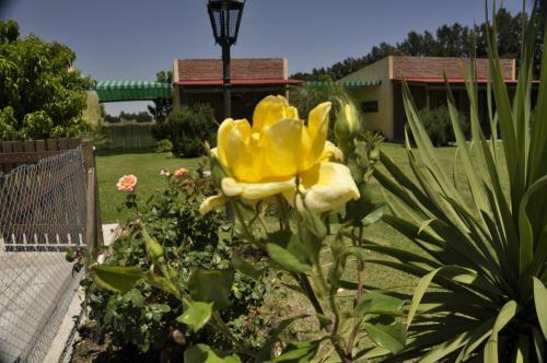 Posada R�o Tala