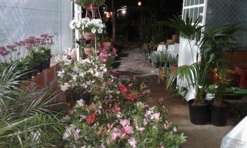 Posada R�o Tala