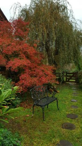 La Ignacia Bed And Breakfast
