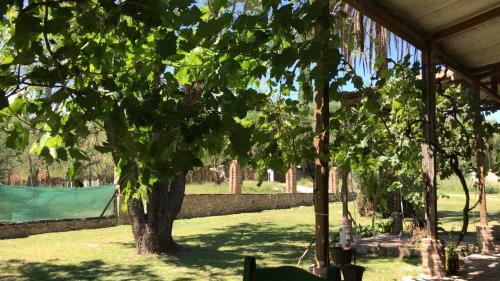 Lodge Caba�as Quinta El Tesoro