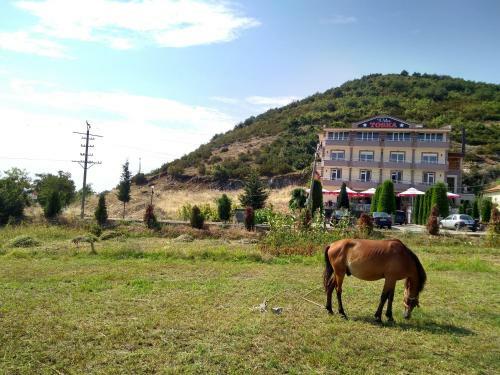 Hotel Toska