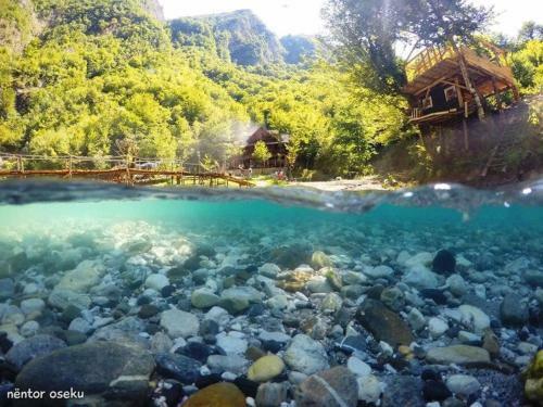 Hostal Blini-park Guesthouse