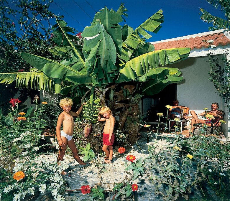 Oasis Hotel & Bungalows