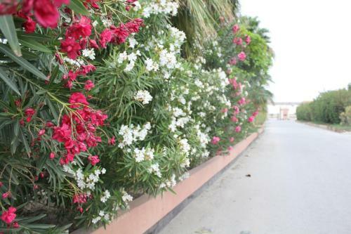 Hotel Bahrain Beach Resort
