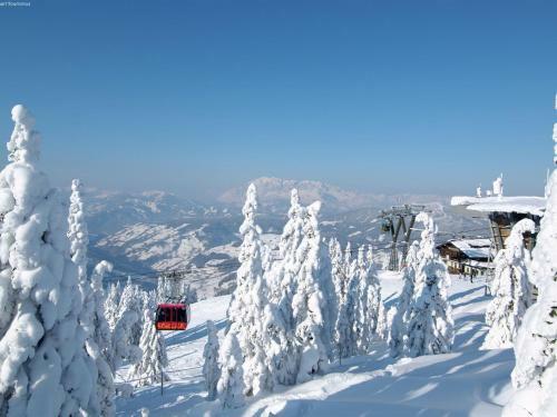 Apartment Penthouse An Der Piste 4 Alpendorf