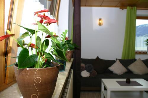 Apartamento Appartement Harmonie